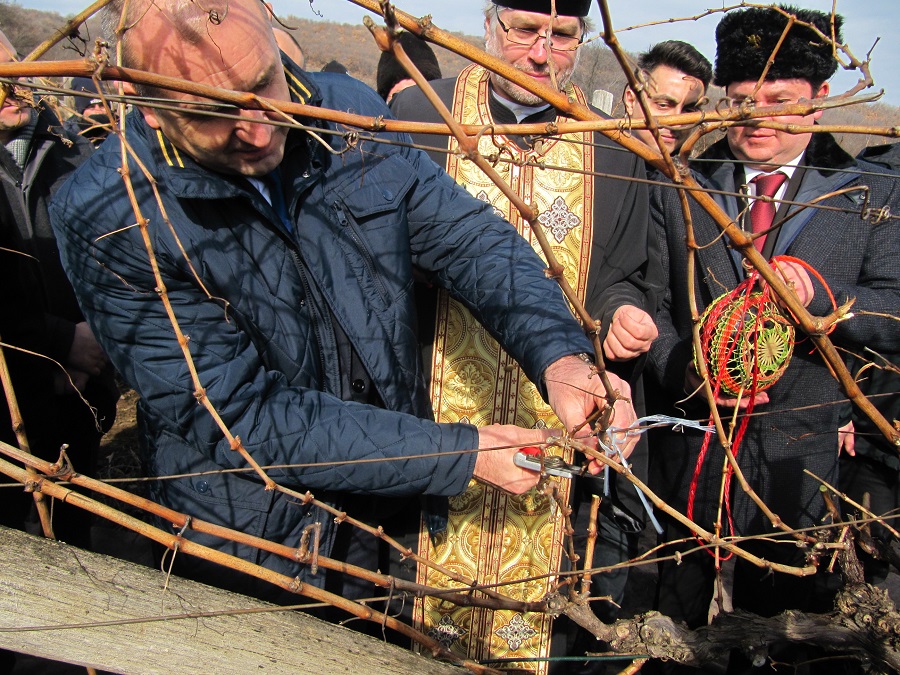 Президентът Румен Радев заряза лозите в Сухиндол (СНИМКИ)