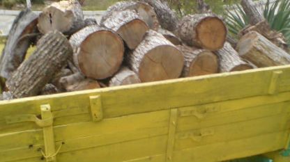 Три камиона със 180 кубика дърва засякоха полицаи