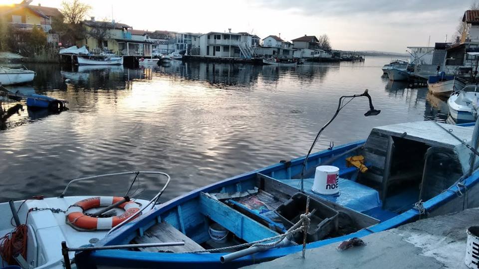 Гларуси нападат рибната борса в Бургас