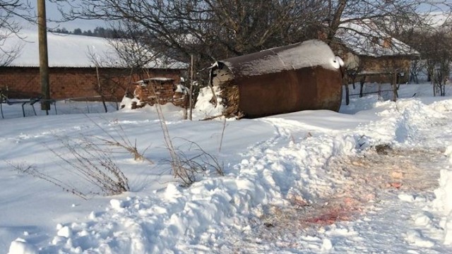 Условни присъди за собственици на кучета, разкъсали старица в Свищовско