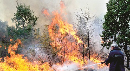 81 пожара от човешка небрежност и умисъл