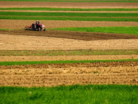 Прогнозират ръст на цената на земята с 5%
