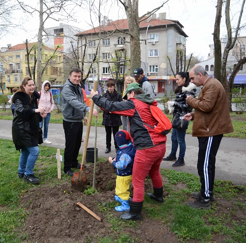 Общинари засадиха 100 дървета в Морската градина във Варна