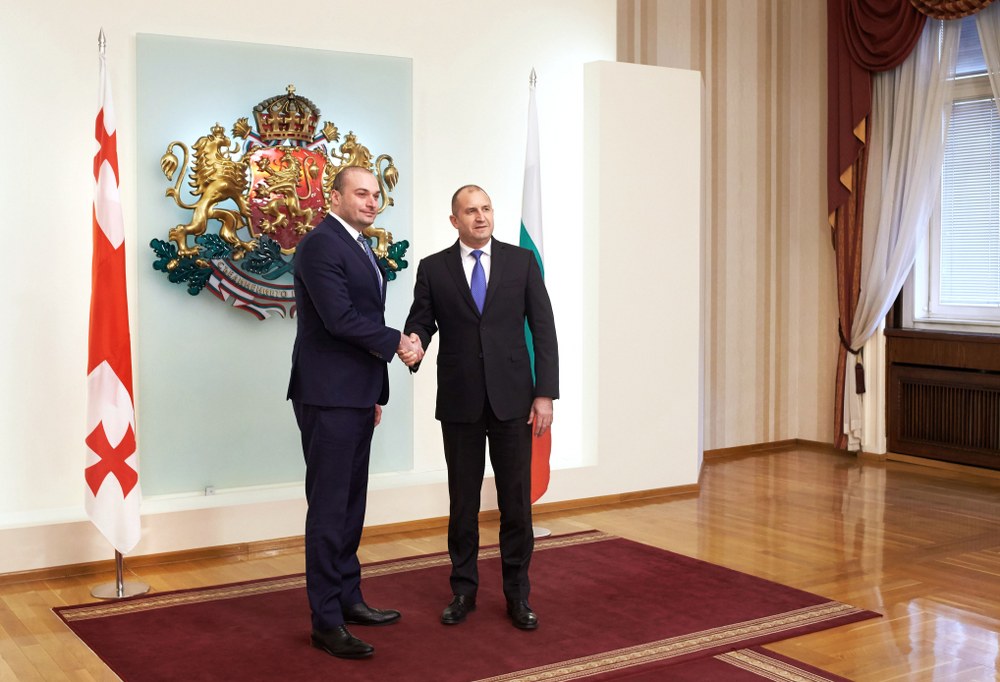 Президентът Радев и премиерът на Грузия обсъдиха възможностите за интензифициране на двустранния икономически обмен