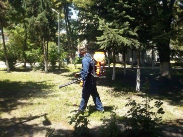 Кърлежи нахапаха 126 варненци за седмица