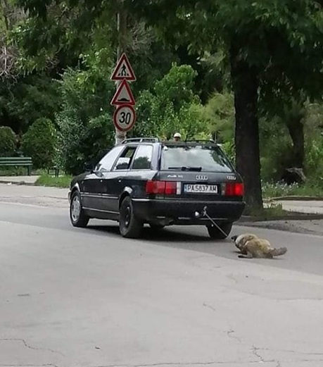 Поредна жестокост над животно: Циганин влачи куче с колата си в Пазарджик