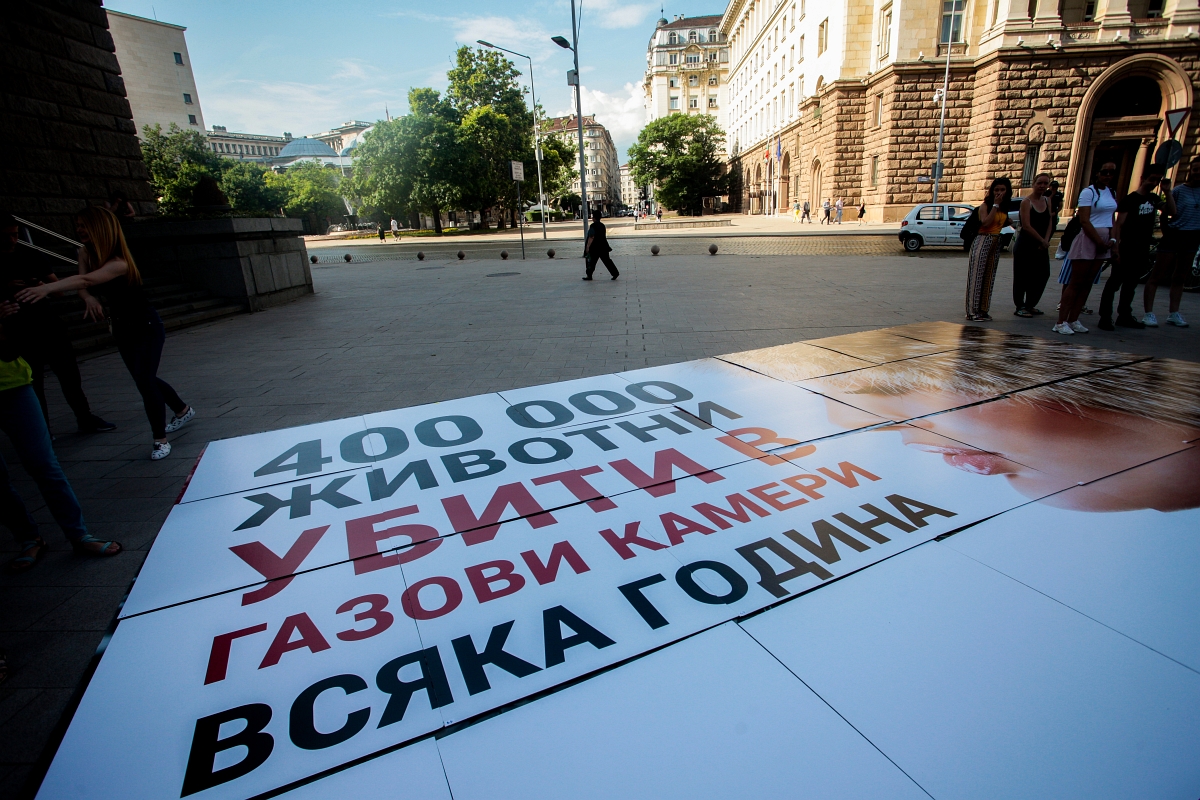 Вижте протеста пред МС срещу фермите за ценни кожи през обектива на "Труд" (СНИМКИ)