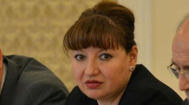 Шефката на правната комисия Анна Александрова: Хората предпочитат да пускат бюлетина