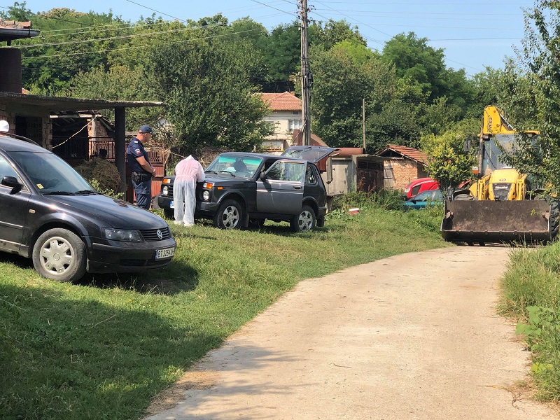 Ликвидират огнище на африканска чума в Свищовско