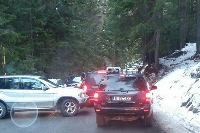 Без коли в Пирин планина още един месец