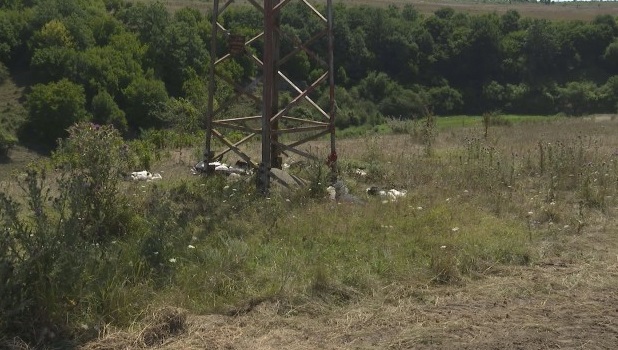 Волтова дъга уби десетки щъркели във варненско село