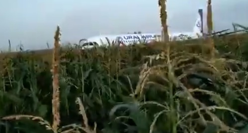 Руски самолет се сблъска с ято чайки и се приземи аварийно в царевична нива, има пострадали (ВИДЕО)