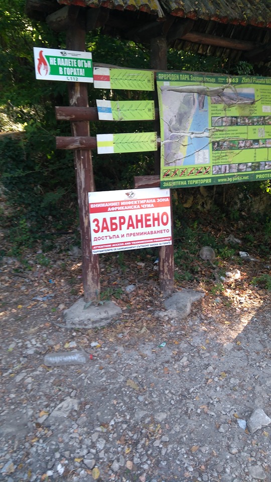 Забраниха пикниците край Варна заради африканската чума