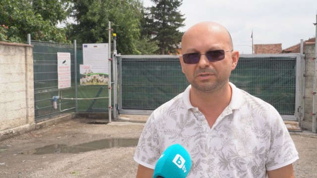 Започна масова евтаназия на прасета във видинска ферма заради чумата