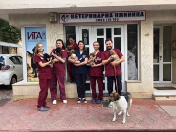 Ветеринарни лекари с акция в пет столични парка