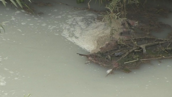 Производител на кори за яйца е източник на оцветени води с неприятна миризма в река Русенски Лом