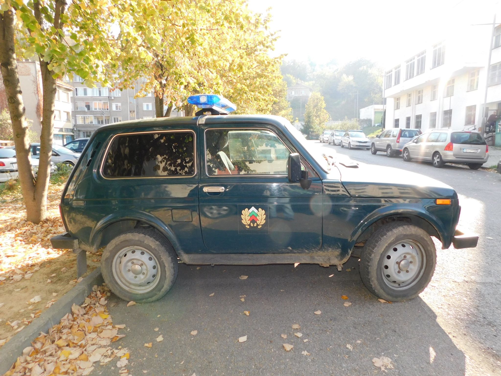 Апелативният съд в Търново потвърди мярката „парична гаранция“ за горски инспектор