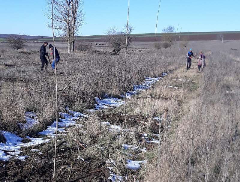 Залесяват в 100 дка гори в ДЛС "Паламара"