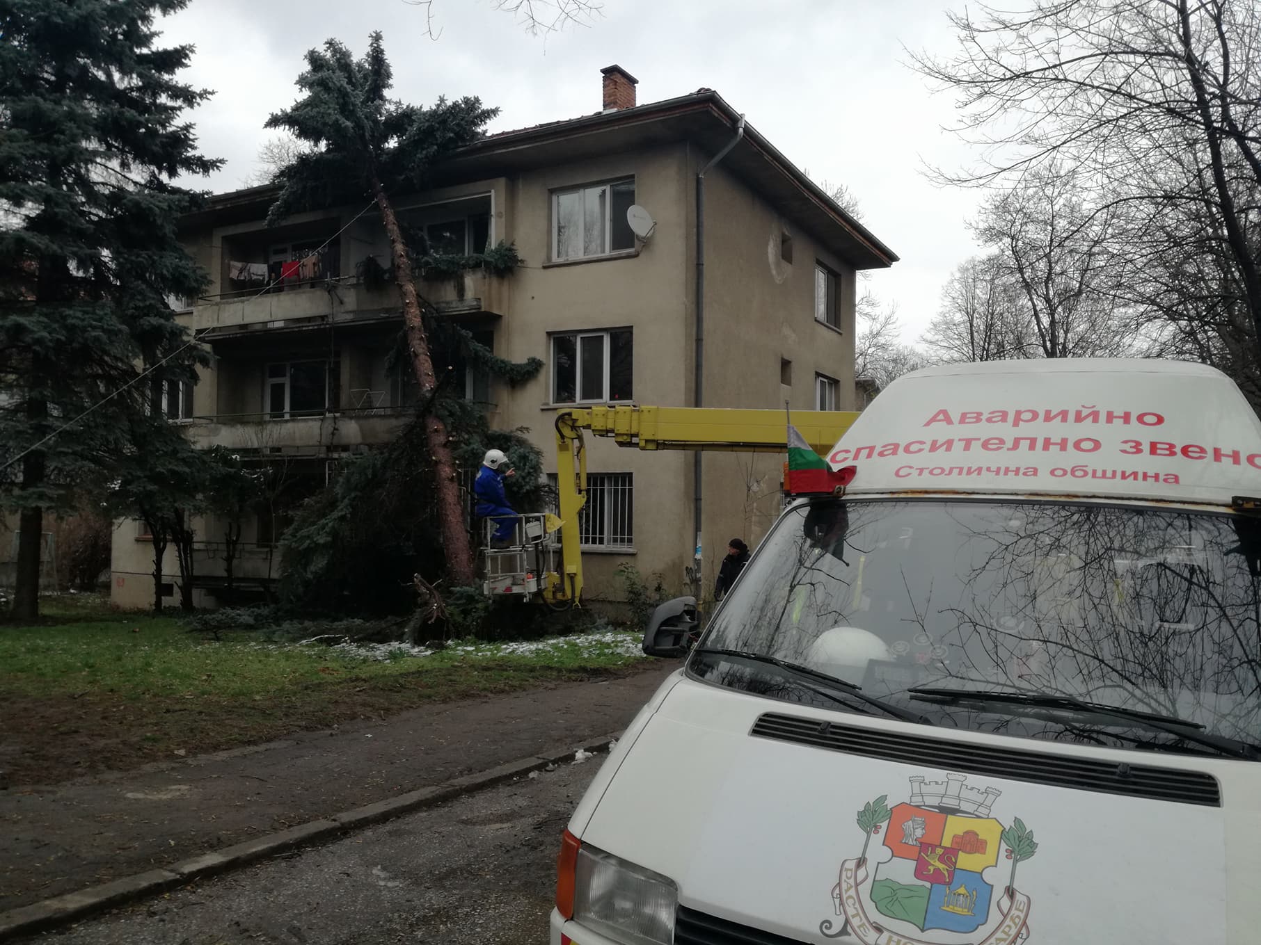 Снимка на деня: Отстраняват дърво, рухнало след бурята в София