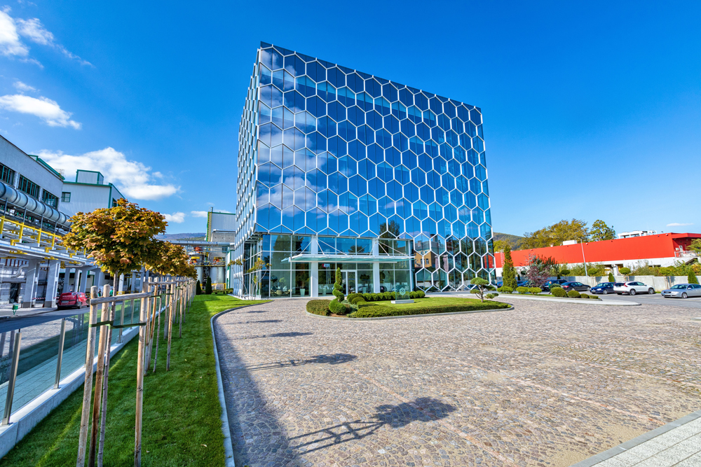 Биовет ще изгради многофункционална спортна площадка в Пещера