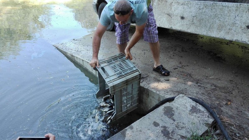 Пуснаха 2300 рибки в езерото насред Монтана