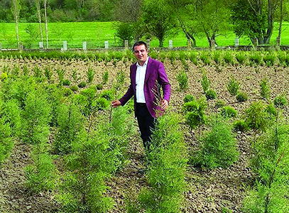 Цветя и дръвчета за цялата страна на приемлива цена!