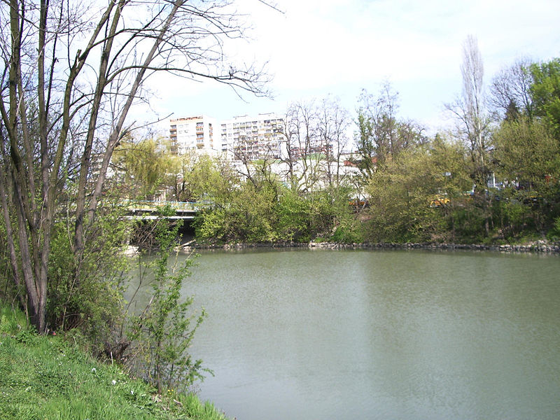 16-годишно момче се удави в река Тунджа