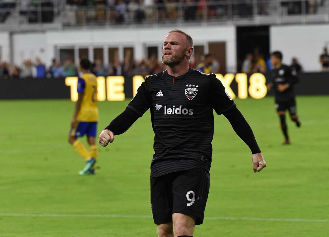 Руни строи паник стая