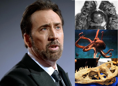 Чудатите хобита на известните