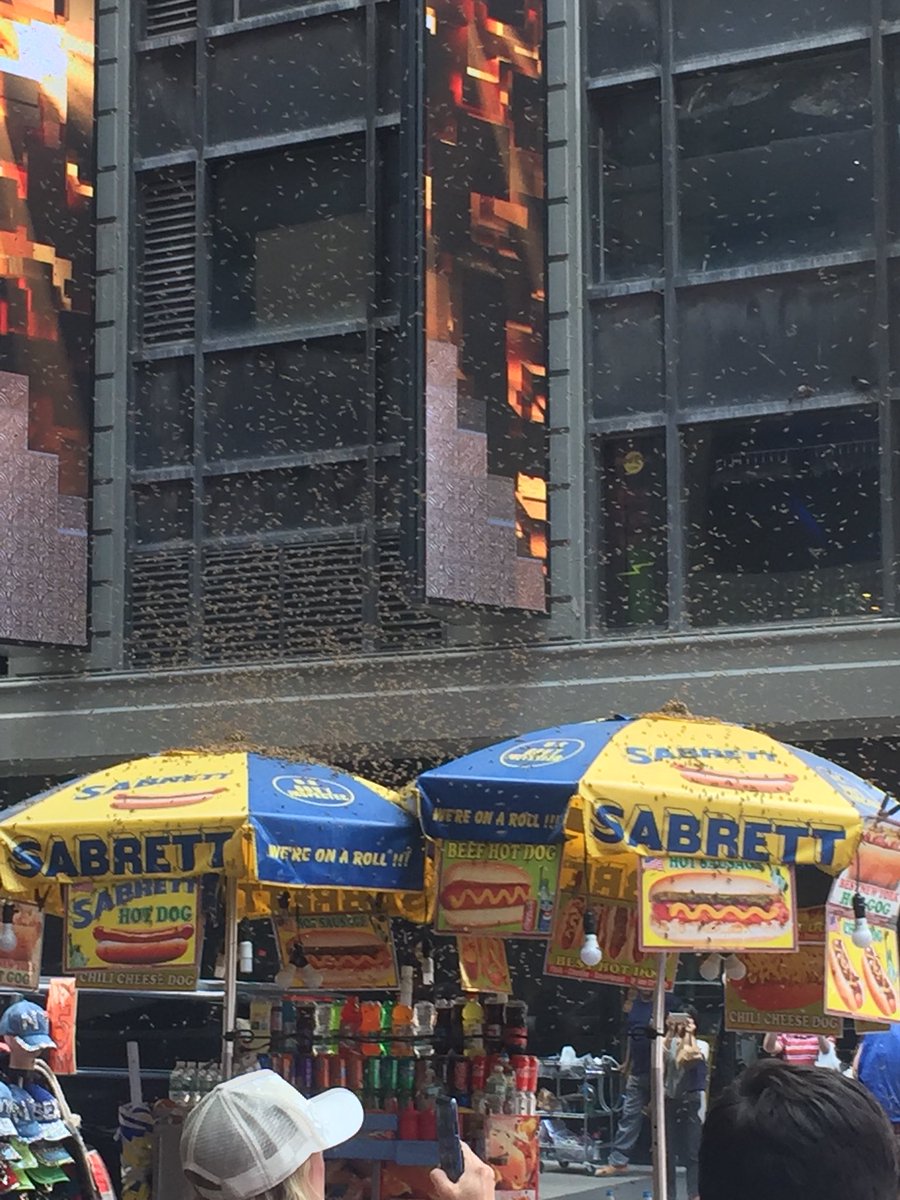 Пчели превзеха "Таймс Скуеър"