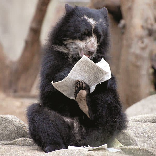 Кой е най-страшният кошмар за жената?