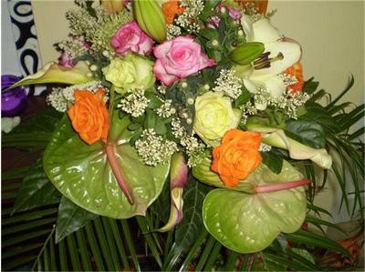 Урина и аспирин за по-трайни цветя