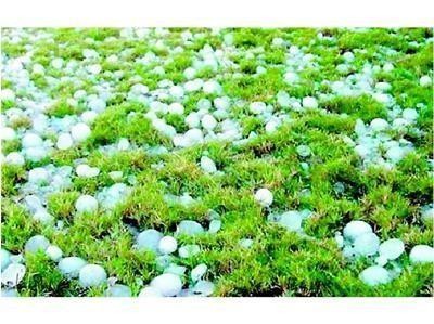 Утре до обяд ще бъде слънчево, на места се очакват градушки