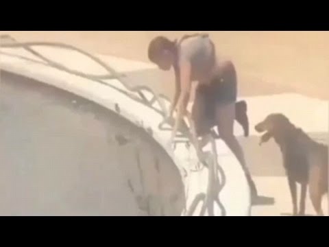 Мъж разхожда годеницата си като куче в мол -  тя твърди, че е романтично (Видео)