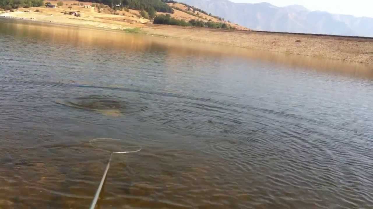 В язовирите на „Напоителни системи“ има достатъчно вода