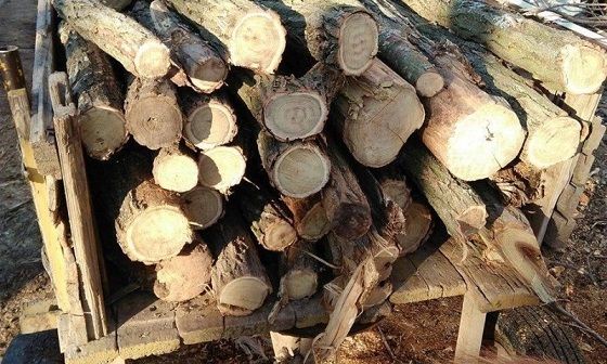 Горски задържаха още 4 каруци с бракониерски дърва
