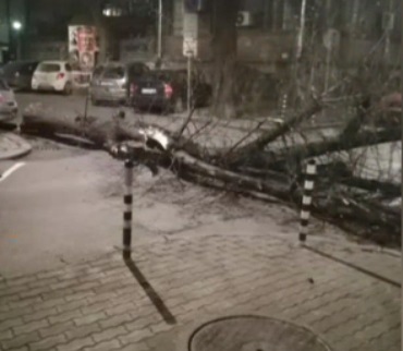 ​Десетки сигнали за паднали дървета, клони и ламарини заради силния вятър в София
