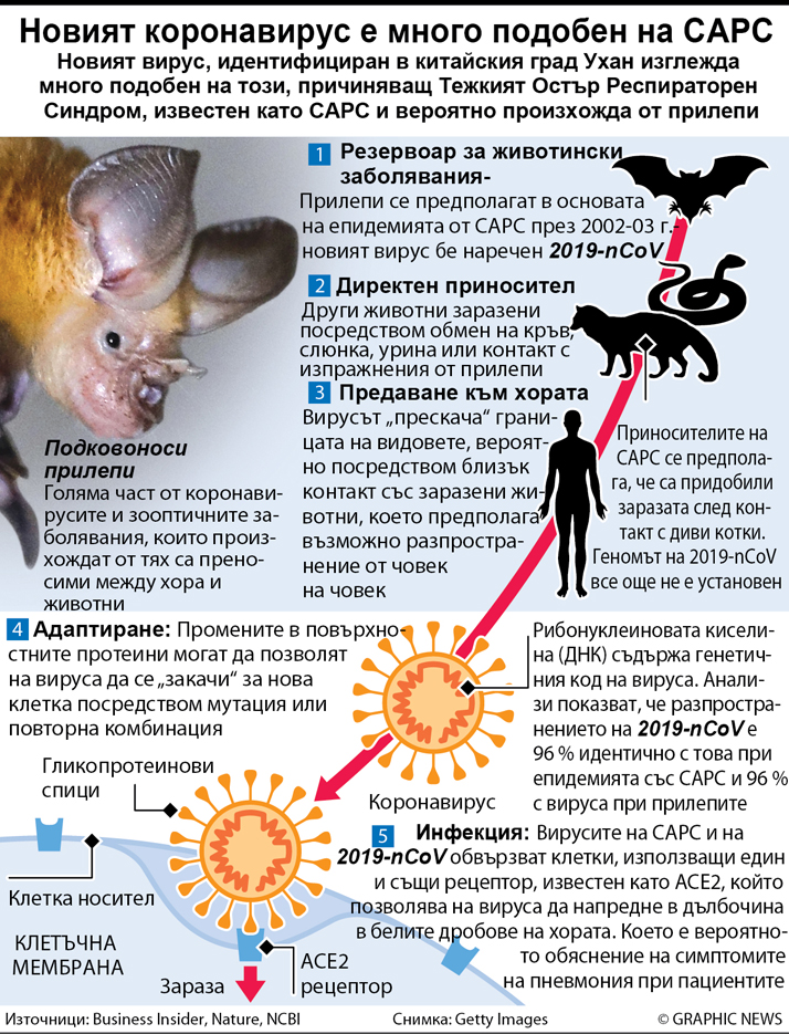 Китайският вирус идва ли от прилепи?