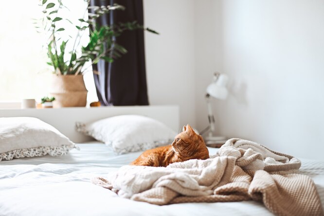 Англичаните си сменят бельото на пет дни