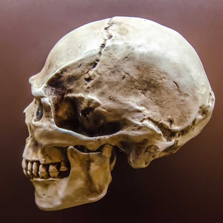 Археолози се натъкнаха на стена от 119 човешки черепа в Мексико