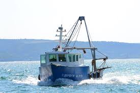 Флотилия ще чисти морето от опасни изоставени мрежи