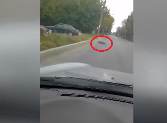 Заснеха шофьор да влачи куче с автомобила си (ВИДЕО)