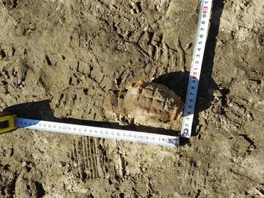 Унищожиха корозирала ръчна граната в землището на село Сатовча
