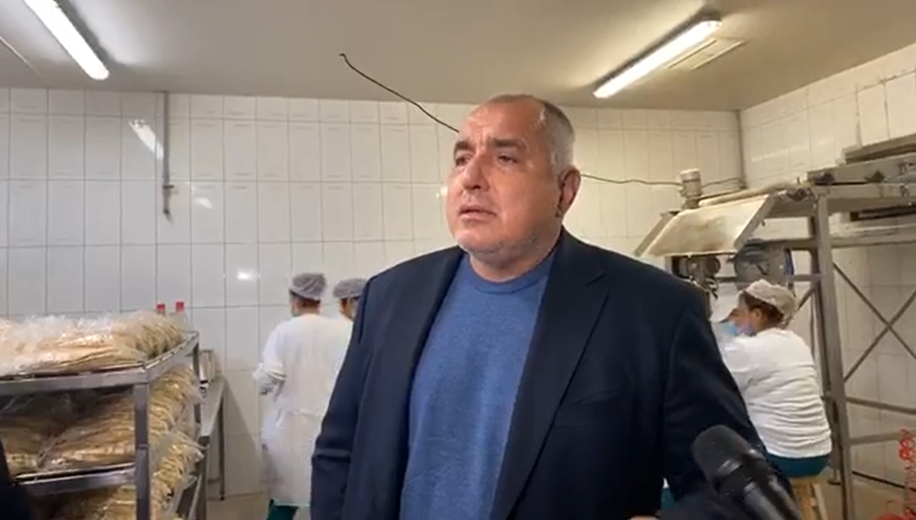 Борисов: На 14 декември може да пуснем детските градини и яслите (ВИДЕО)