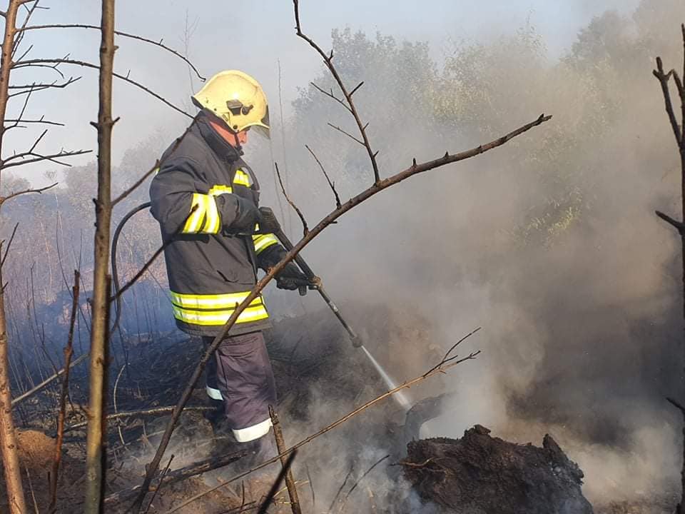 Пожар гори в над 500 декара смесена гора в землището на село Българаново