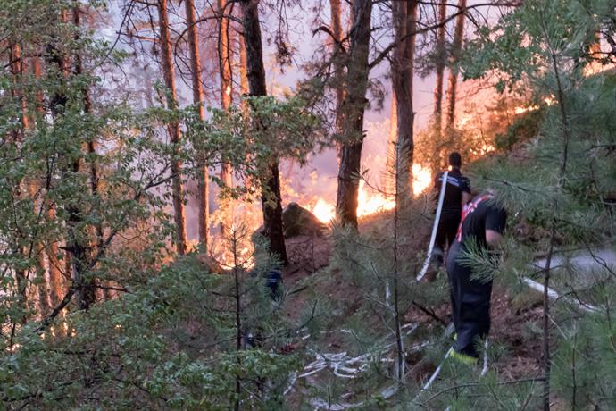 6000 декара изгоряха в Харманлийско, 13 екипа на пожарната гасят огъня