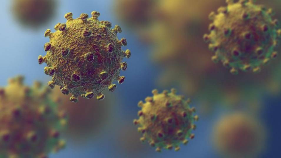 Учени: Пациентите с коронавирус не са заразни след деветия ден