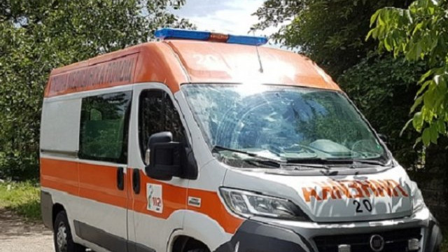 Берачи на плодове потрошени при катастрофа с УАЗ-ка във Видинско