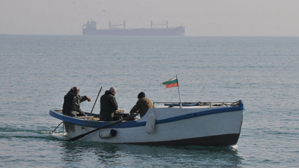 Морето ври от сафрид и акула