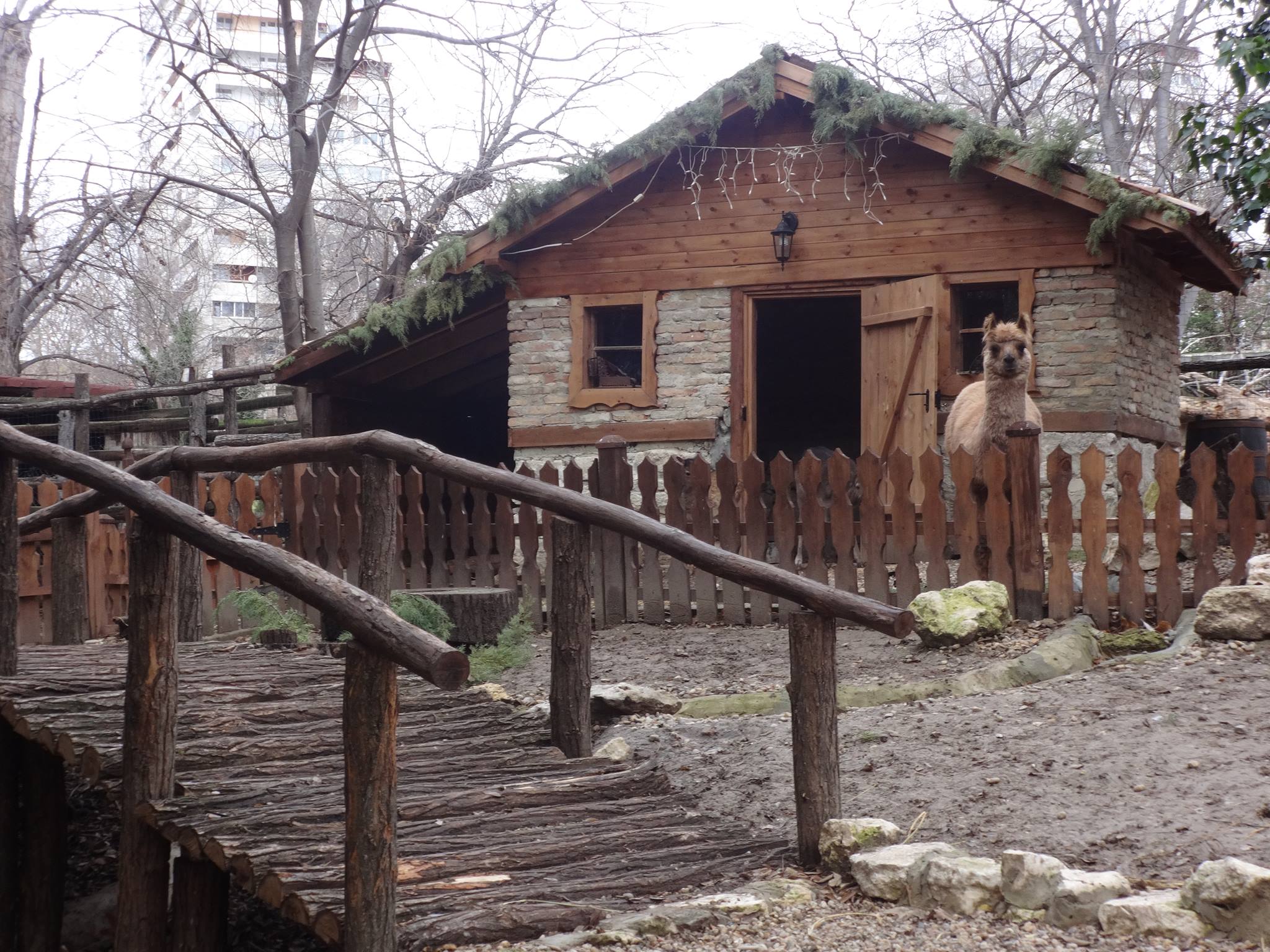 Поскъпва двойно разходката в зоопарка на Варна